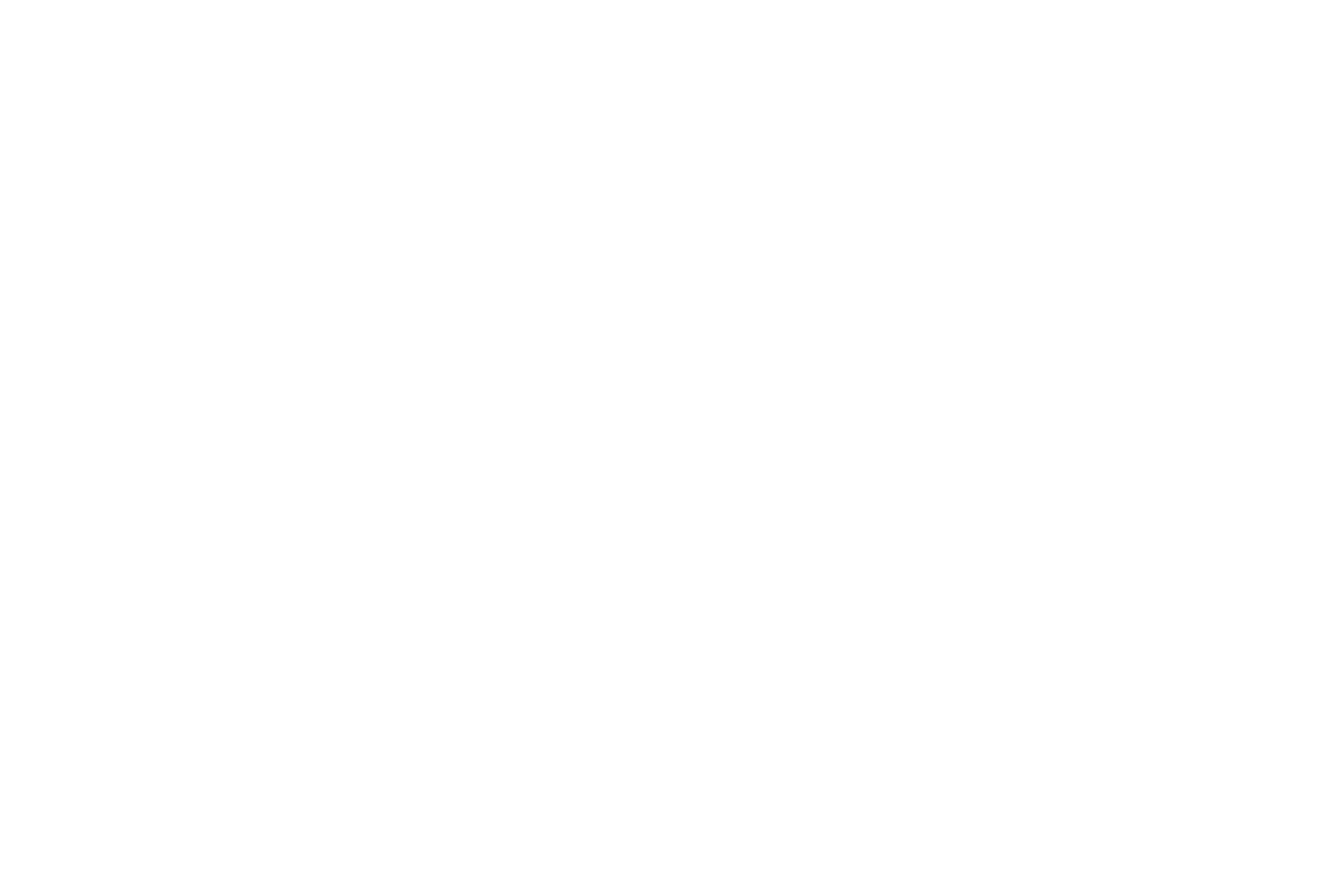 Damelle Photographie